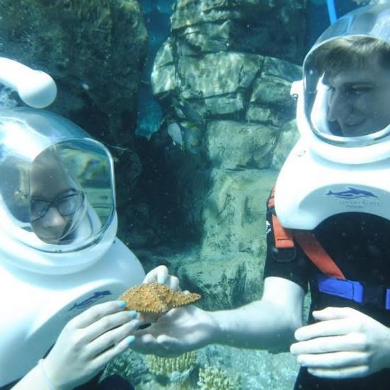 they let us hold a few of the creatures...honestly not sure it they were dead or not ahaha