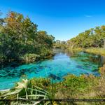 Weeki Wachee Springs State Park