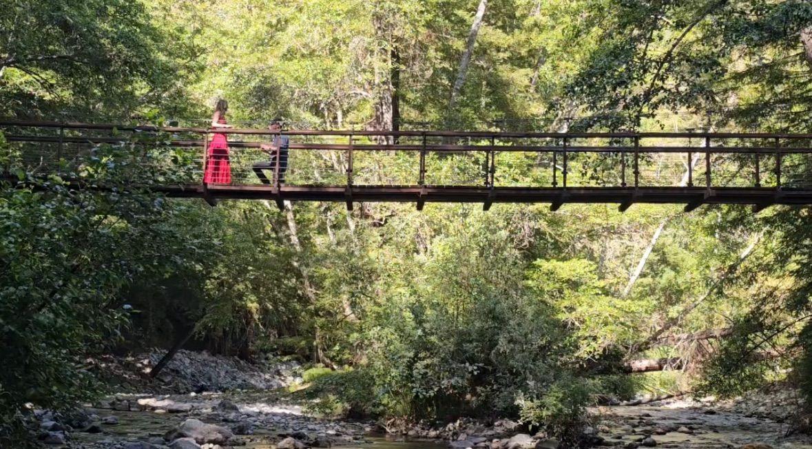 d4339d23-4663-4180-b612-dbd04172559c