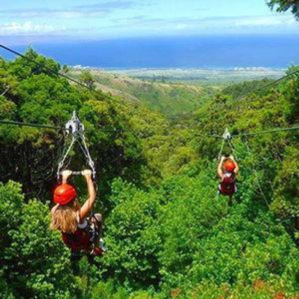 Maui Jungle Ziplining