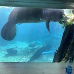 ZooTampa at Lowry Park