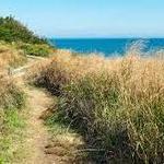 Clay Head Nature Trail