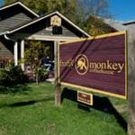 Frothy Monkey