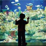 Aquarium at Fort Fisher