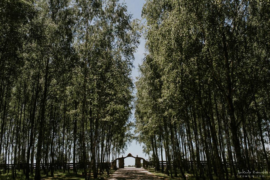 The Wedding Website of Louise PÉRON LÜHRS and MAREK WAŁACHOWSKI