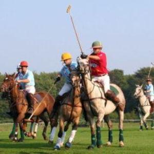 Newport Polo Match