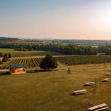 Arrington Vineyards