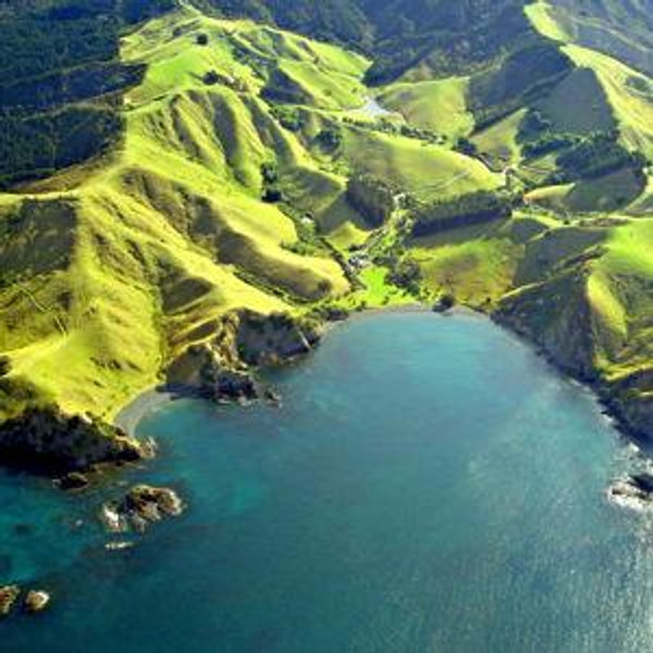 Our New Zealand Honeymoon Fund