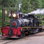 Yosemite Mountain Sugar Pine Railroad