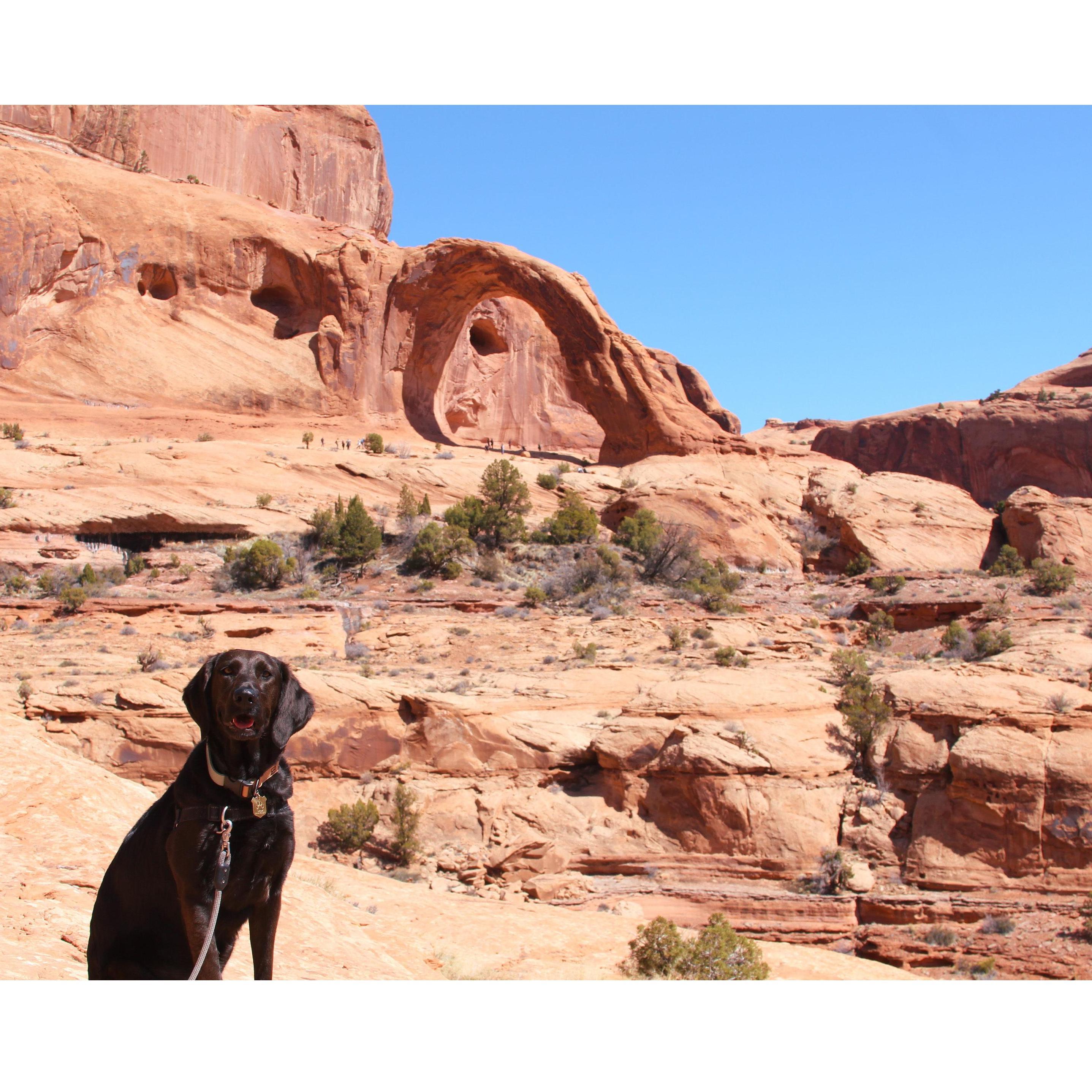 B.A.R.K. Ranger Doah on our hike to Corona and Bowtie Arches just outside of Arches and Canyonlands National Park