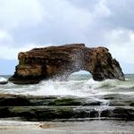 Natural Bridges Visitor Center