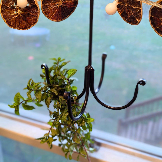 Amish-Made Wrought Iron Herb Dryer: Hanging Herbs for Homesteading, Farmhouse Decor & Sustainable Kitchen Organization