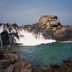 Natural Pool