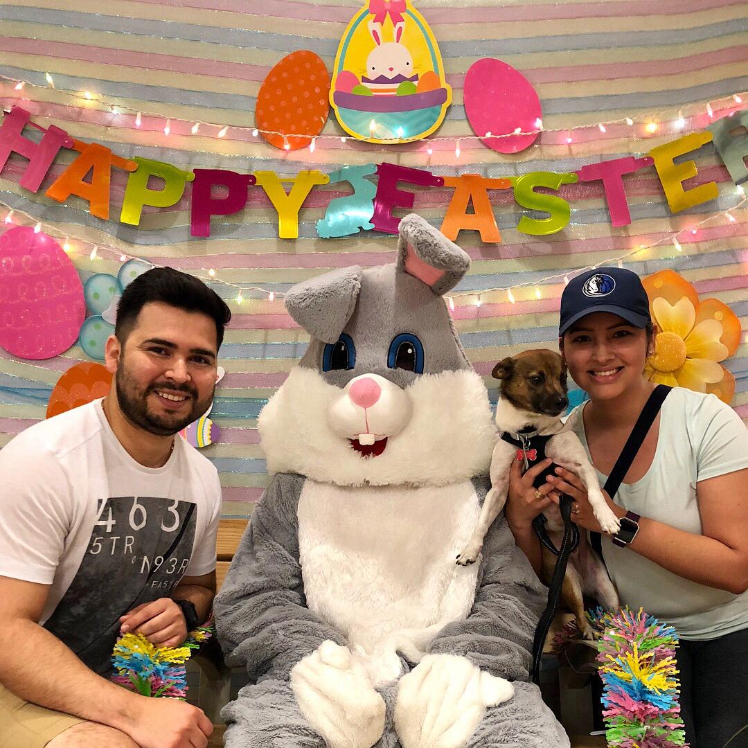 Easter Family Photo 🐣🐶🐰