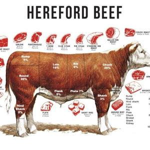 Quarter Cow