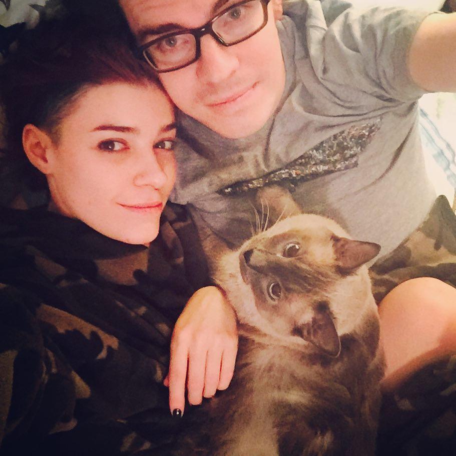 Cat family