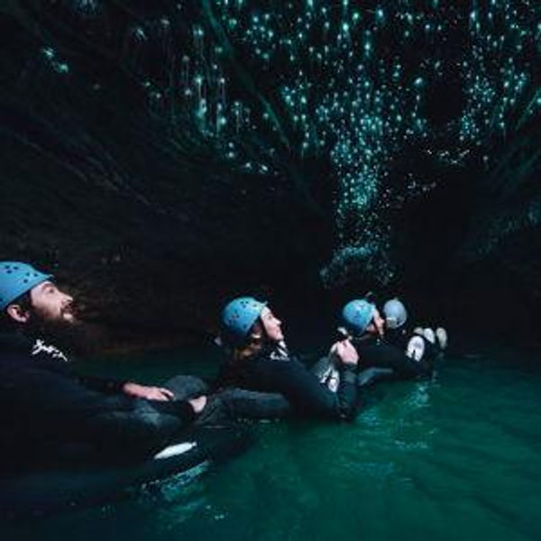 Honeymoon Excursion: Glowworm Caves Tour (for Josh)