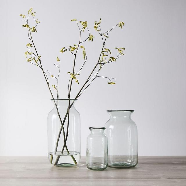 West Elm Recycled Glass Apothecary Jar (Large)