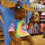 Cool As A Moose
