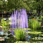 Denver Botanic Gardens