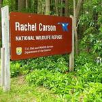 Rachel Carson National Wildlife Refuge