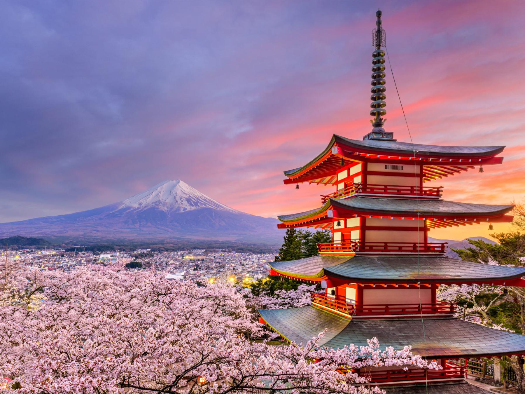 d4495216-3632-45c2-aa4e-318f07669c4a