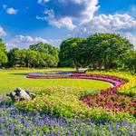 The Dallas Arboretum and Botanical Garden