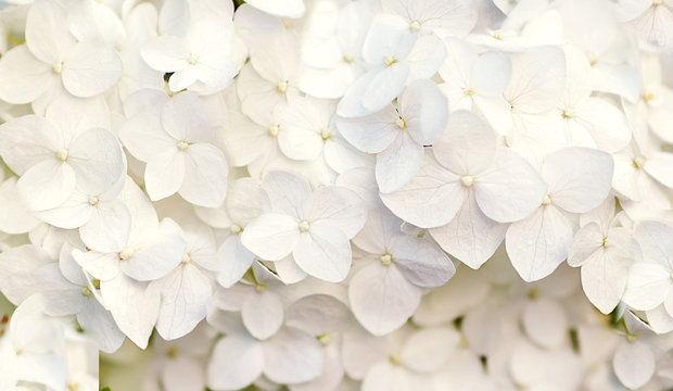The Wedding Website of Jake Tuchmann and Vicki Selleck
