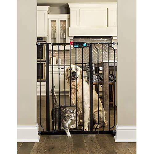 Carlson Extra Tall Walk Through Pet Gate with Small Pet Door, Includes 4-Inch Extension Kit, 4 Pack Pressure Mount Kit and 4 Pack Wall Mount Kit, Black