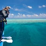 Scuba diving in the Caribbean