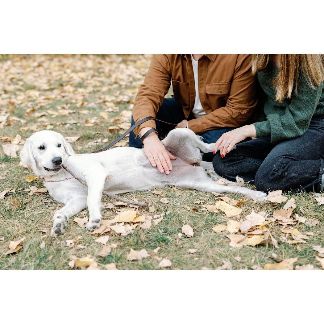 One of our favorite engagement pics.