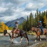 Banff Trail Riders