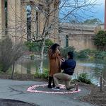 The Palace Of Fine Arts