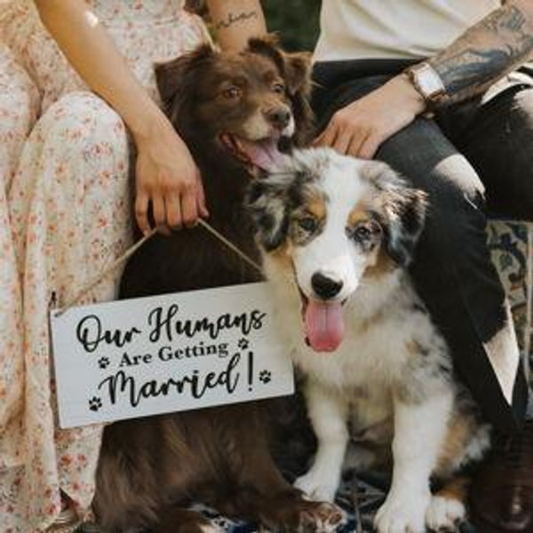 Nala and Benji Fund