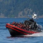 Western Prince Whale Watching