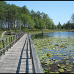Seminole State Park