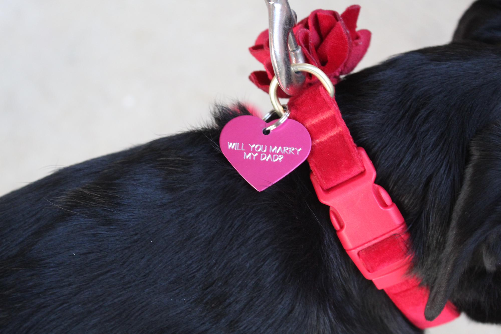 Nova really took part!