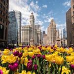 Magnificent Mile