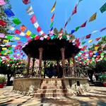 Ajijic