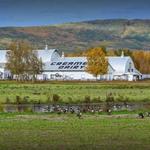 Creamer's Field