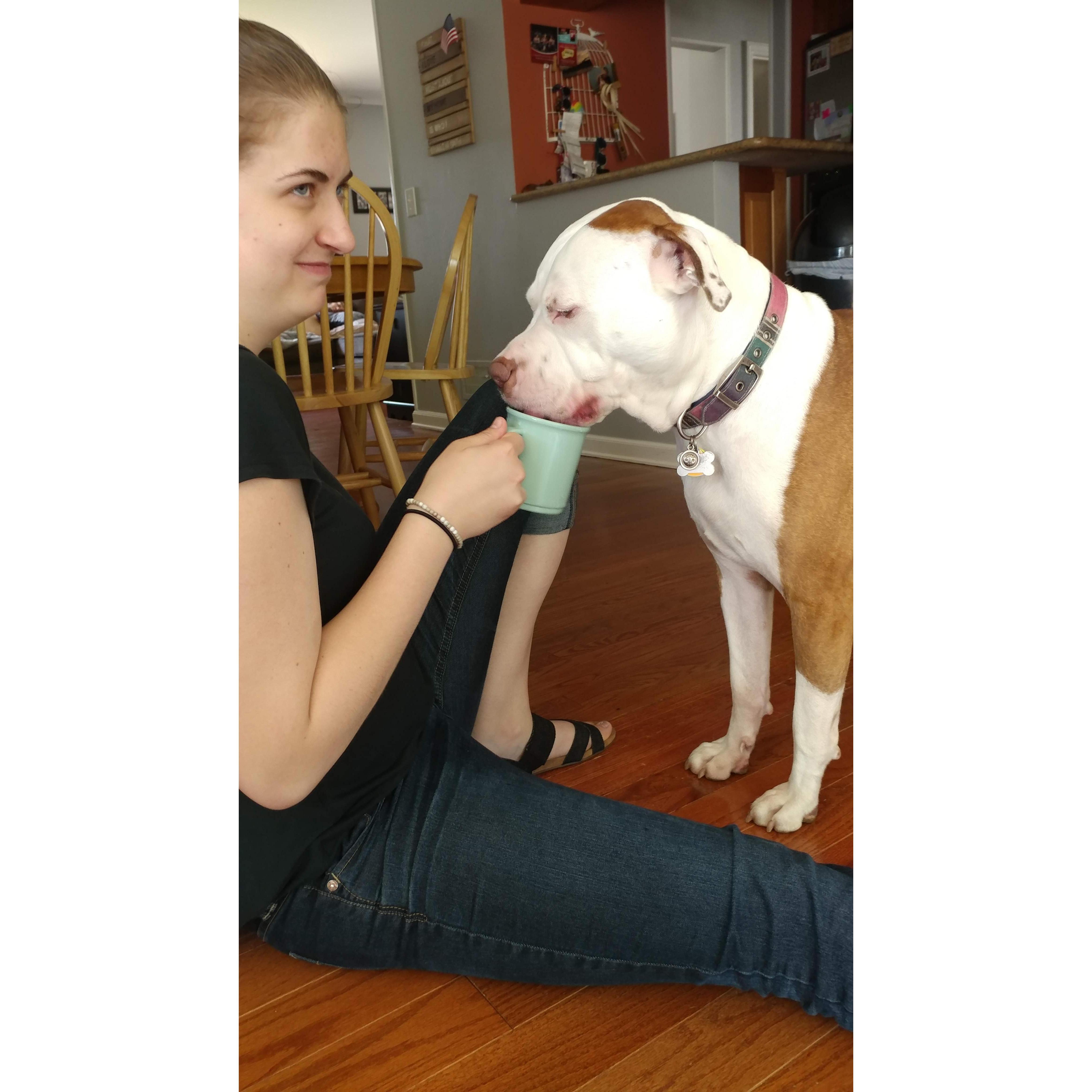 Bucky started drinking Hannah's water. she just gave up and let him have it.