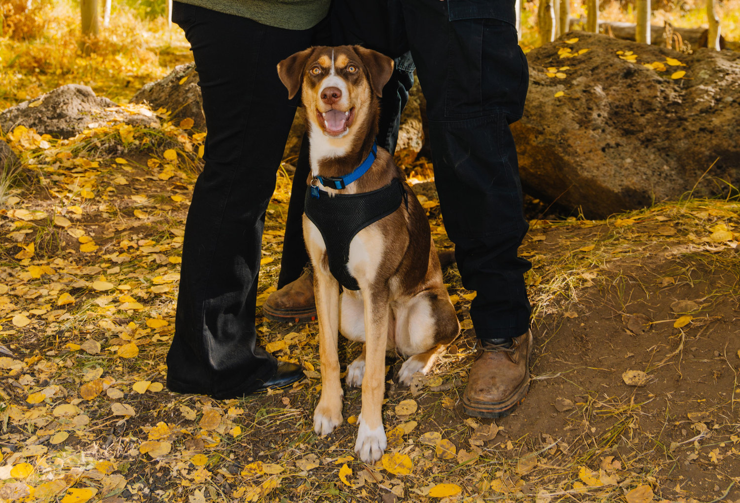 The Wedding Website of Courtney Garvin and Jeff Daniels