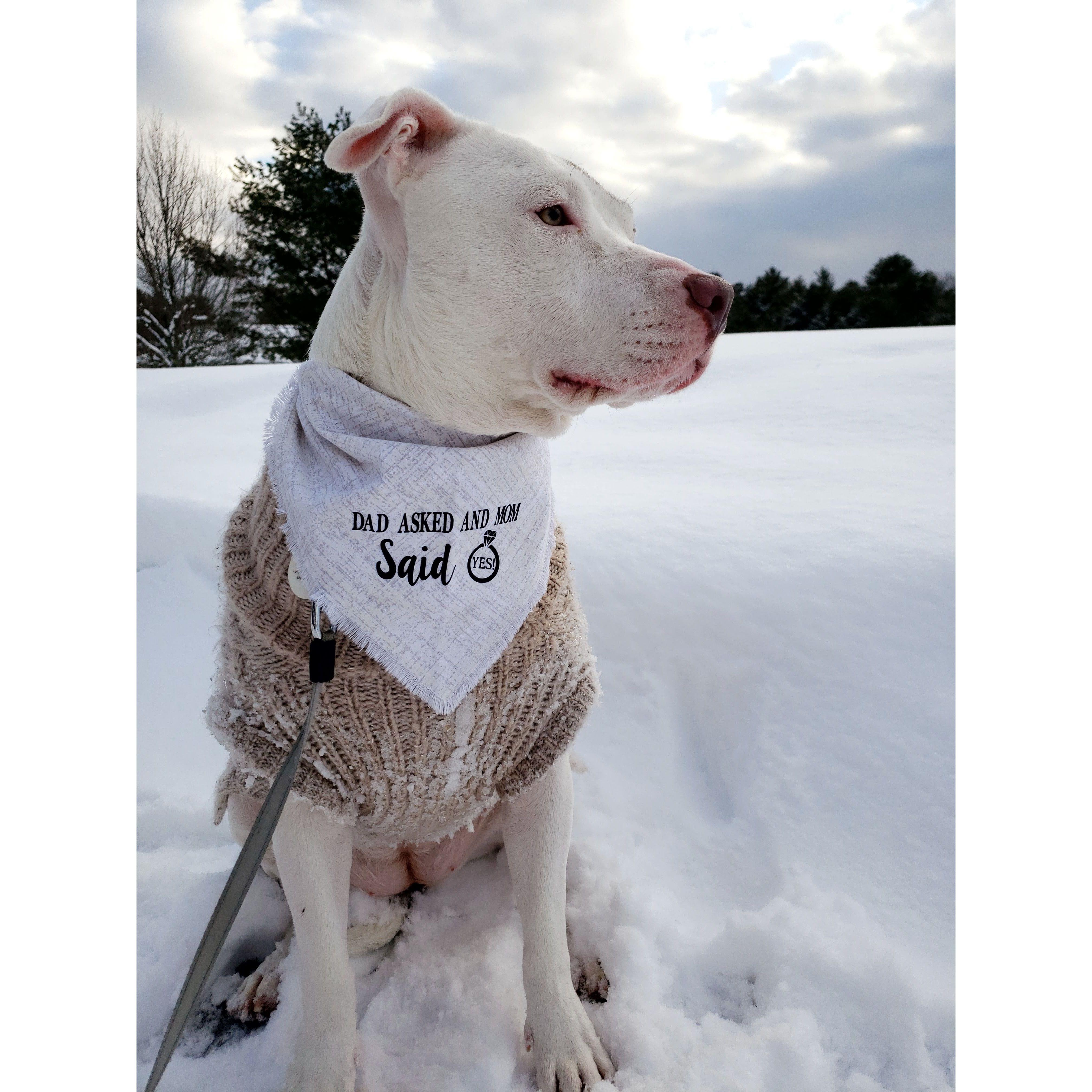 So of course, being the center of our lives, she was the one to announce our engagement!