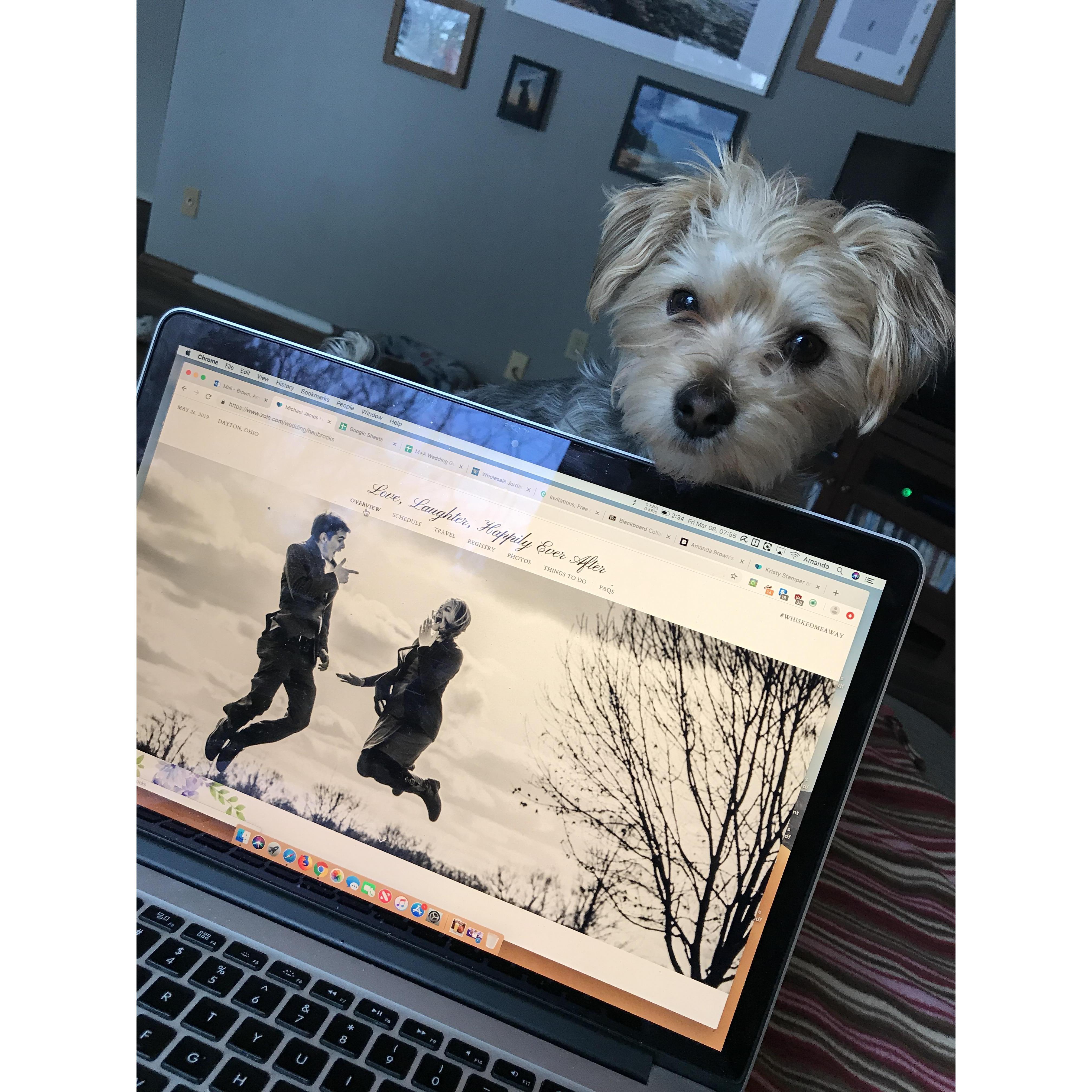 March 2019 - St. Paul, Minnesota - Wedding website help from my friend Kona