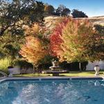 Vichy Springs Resort and Inn