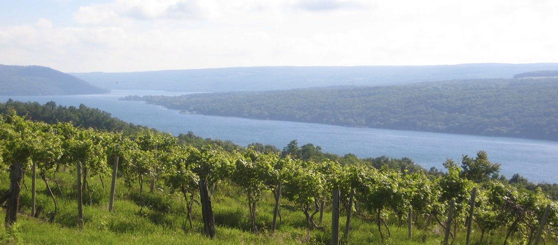 The Wedding Website of Anna Schilling and Kevin Sullivan