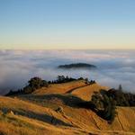 Mount Tamalpais