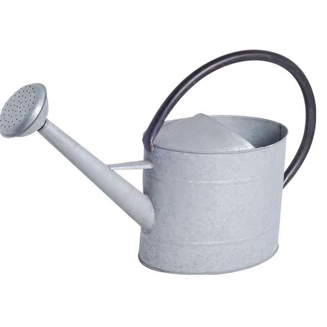 Aged Zinc Watering Can, 2.1 gallon