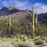 Sabino Canyon Recreation Area