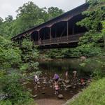 Things to do in the area